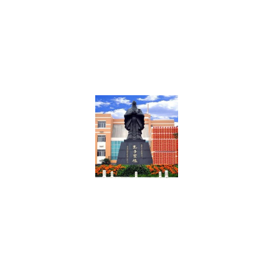 重庆信息技术职业学院