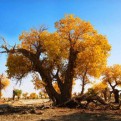 杨老师谈教育