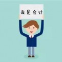 会计小白鼠