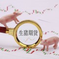 王老师讲期货