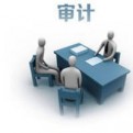 忠诚履职审计人