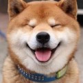 四川自考龙老师